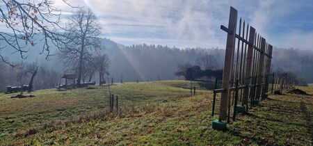 Mirna - posadili so lipe, foto Lapego (7)